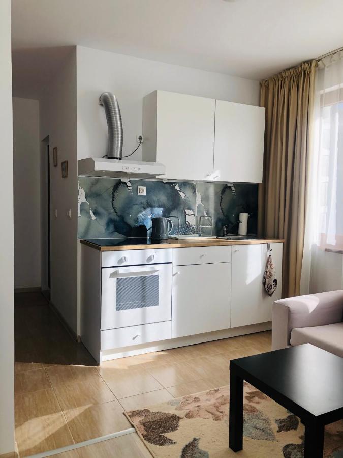 Temerso Studio-Apartment Bansko Eksteriør bilde